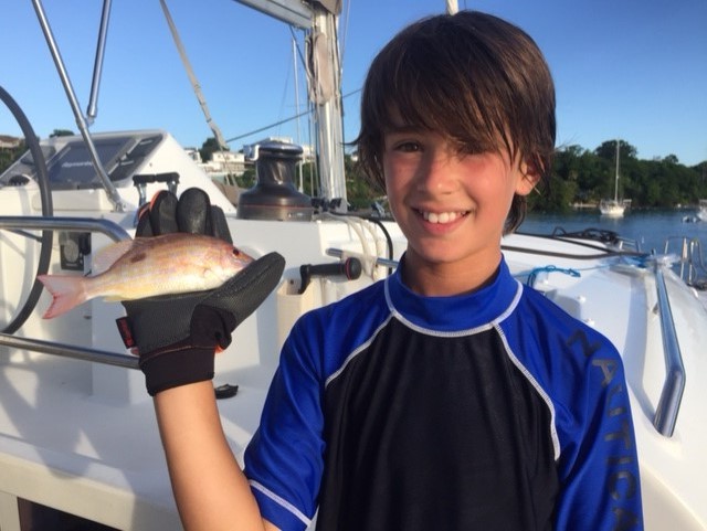 first edible fish lane snapper